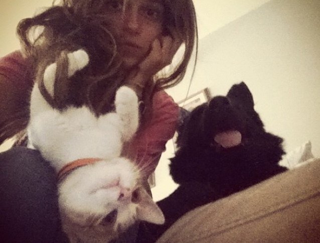 melodivanzelst's profile picture. 