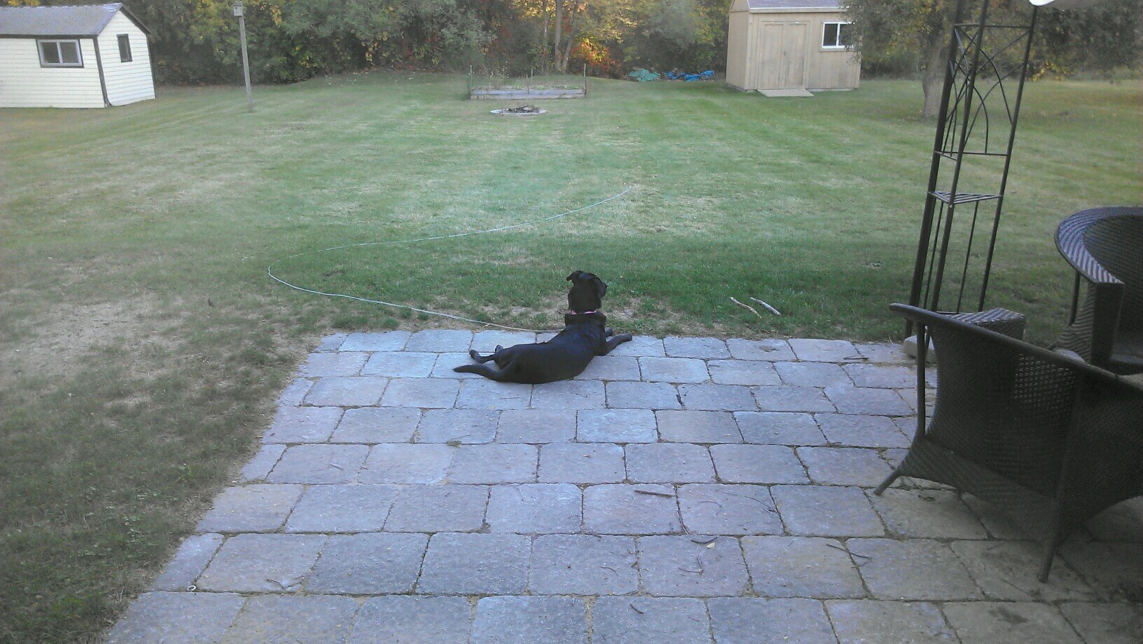 JB0Z's profile picture. Technology Director, public school employee/advocate, sports fan, and all around geek.