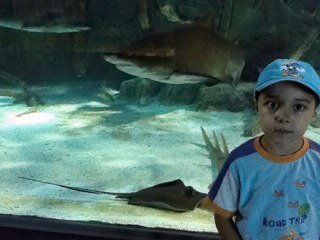 Rams71757's profile picture. 