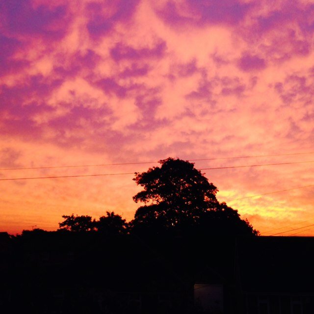 ht_mrst's profile picture. 