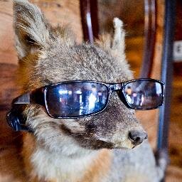 FoxyBellaFox's profile picture. First Lady of Style