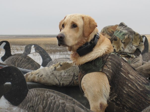 WayneBlackard's profile picture. Life is too short to drink cheap tequila