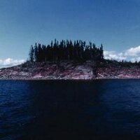 Palmbomen (@palmbomenmusic) 's Twitter Profile
