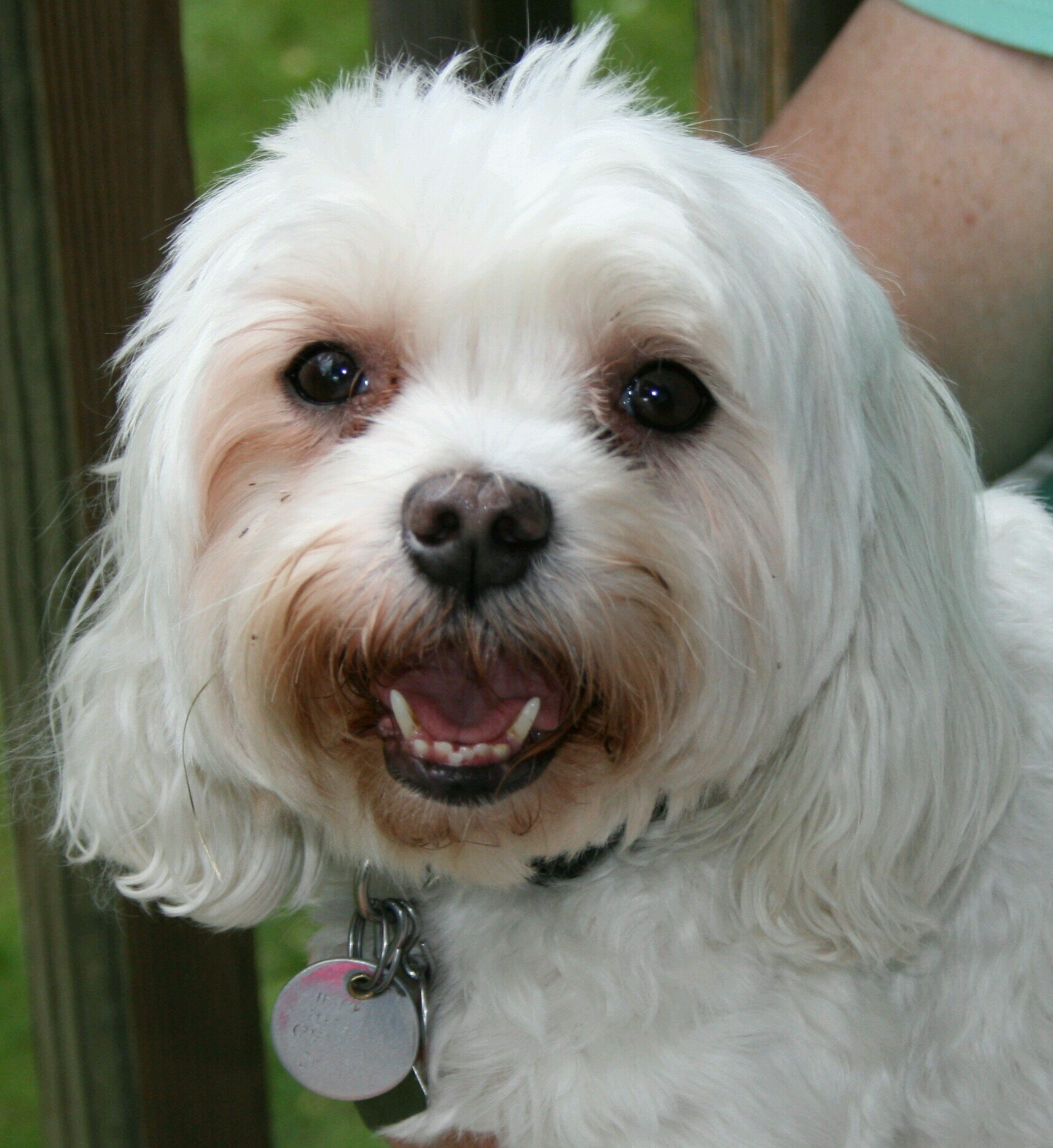 GRUMP1954's profile picture. 