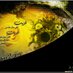 مجهول المعاني (@7rooee) Twitter profile photo