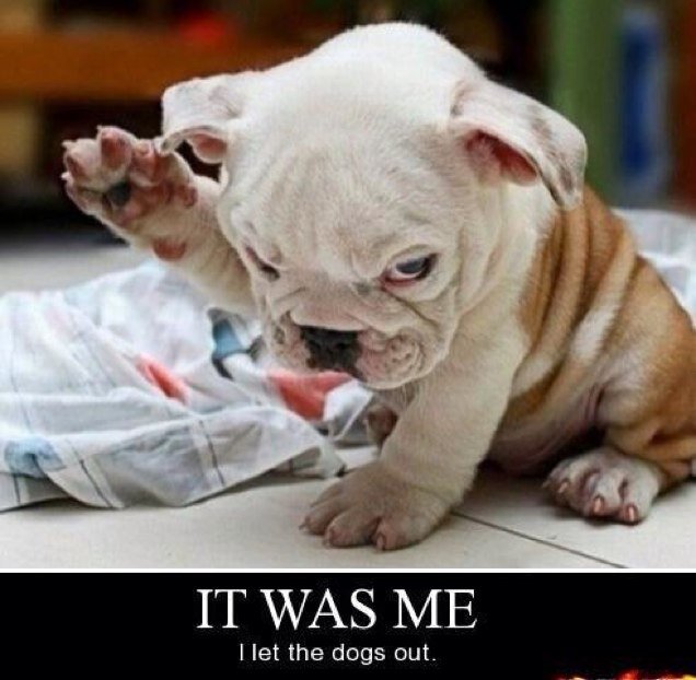 Kris234Kris's profile picture. 