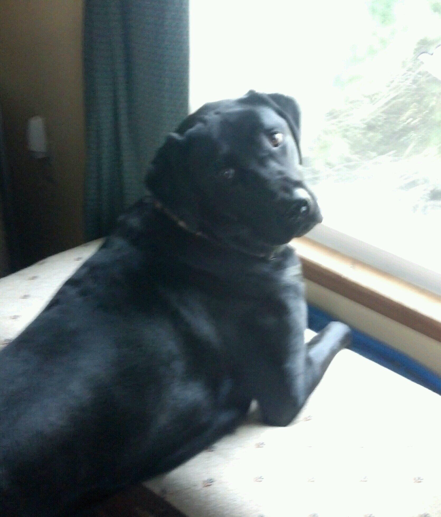 wintersusmc's profile picture. Dad & former Marine. My family is my world. Hunting is a distant 2.