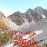 みほ (@mihomiho01) 's Twitter Profile