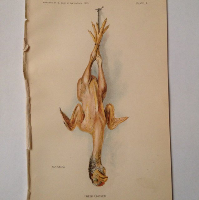 Luke__Powell's profile picture. LP's Quality Meats