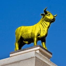 ToricoAmarillo's profile picture. Aficionados del Villarreal C.F. en la ciudad de Teruel