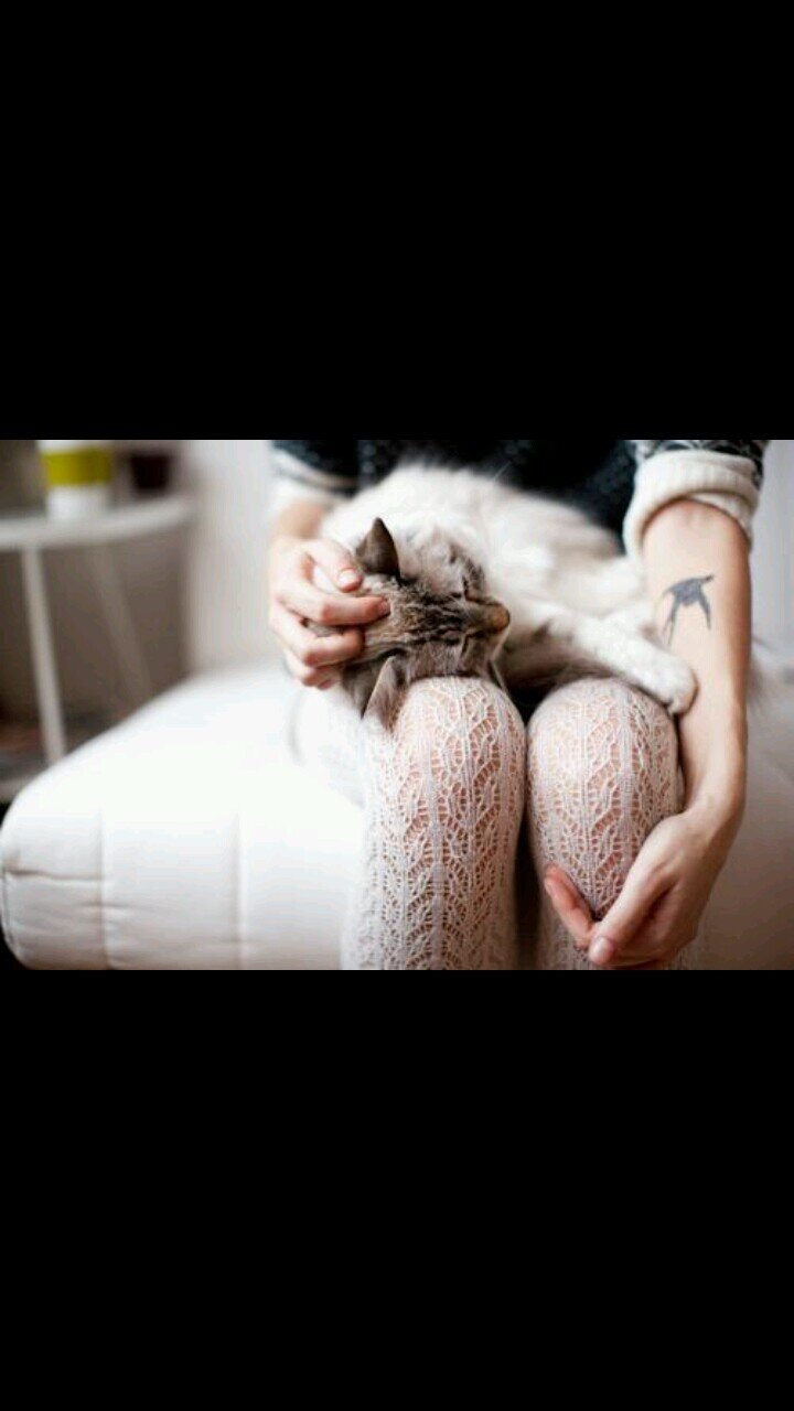 Cats. Dreads. Blogs. Coffee.