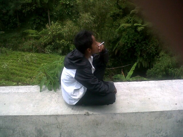 Masih brondong| invite pin:3107090D