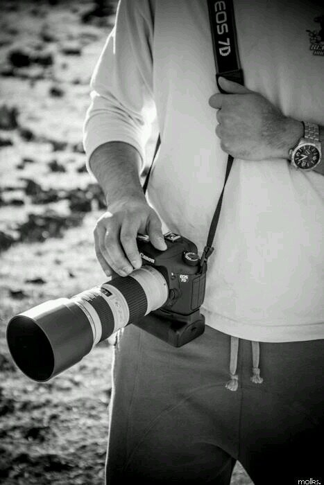 locoarts111's profile picture. 