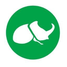 BugFilms's profile picture. Hasta la idea mas pequeña puede llenar una pantalla.