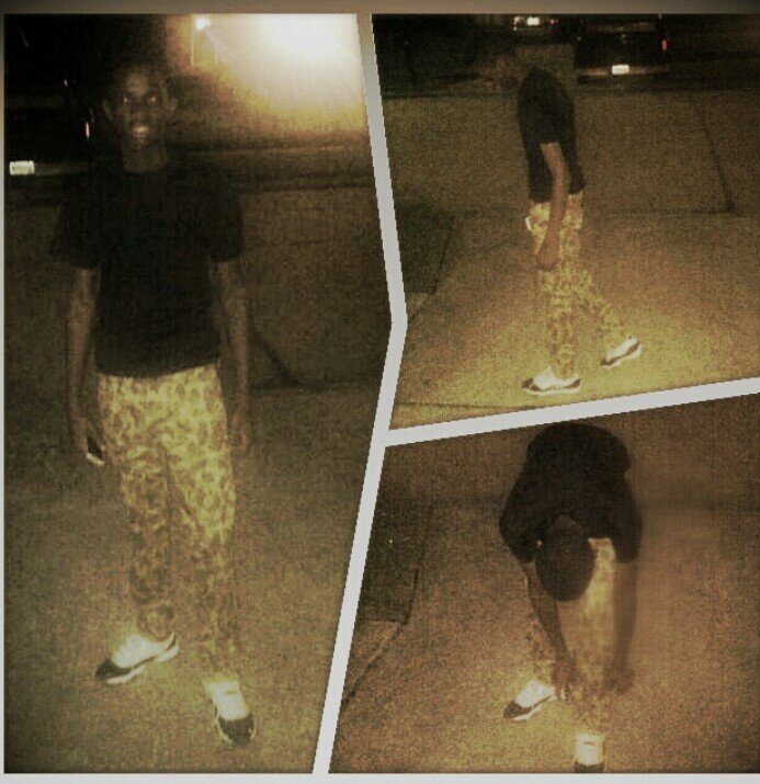 Chasing my dreams