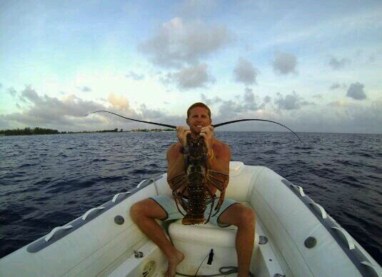 KittenWhisker6's profile picture. I'd rather be underwater