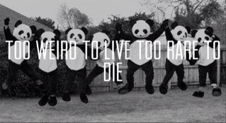 We are not a gang, we're bestfriends.