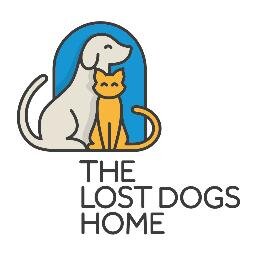 The Lost Dogs' Home