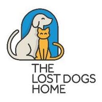The Lost Dogs' Home(@LostDogsHome) 's Twitter Profile Photo