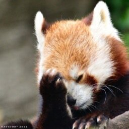I don't take this Biology thing so plz teach me.