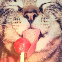 kgjtebrshfhakddjcjf... eso es lo que pienso algunas veces, pero casi siempre soy feliz!!!...