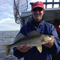 Steve (@nokonaklopp) 's Twitter Profile