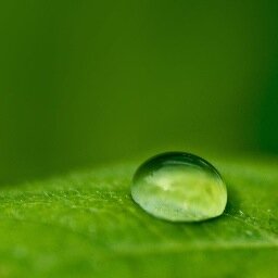 Returning water to nature’s high standards.℠
