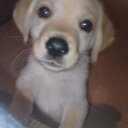 CRIS HERRERA - @crishermar21 - Twitter