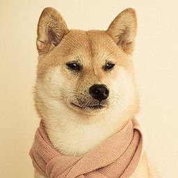 dev_doge's profile picture. Beaucoup agile :: maître en Côbôl :: Regardeur des les chiennes