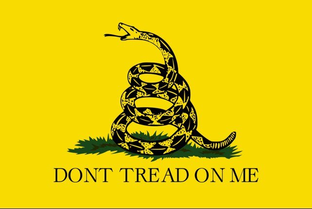 I am an American that loves guns and the 2nd Amendment! Follow me if you want more knowledge about firearms and the history about them!