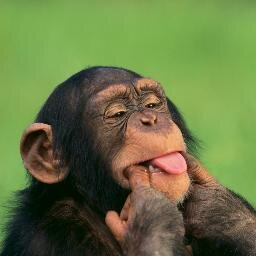 Mathavan_Karur's profile picture. 