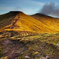 BeautifulBeacons (@beautifulbbnp) 's Twitter Profile