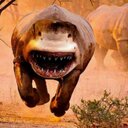 calum bell - @bellc10 - Twitter