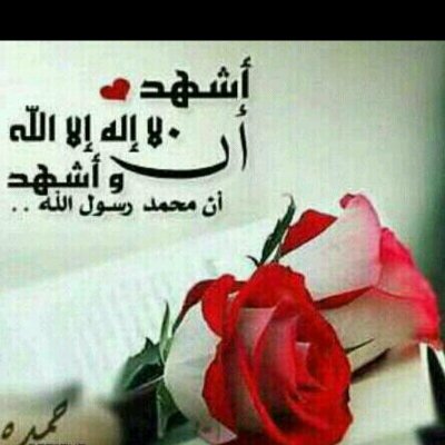 تعبت منك يادنيا On Twitter Http T Co Kq5mkiqrme
