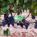 Laora - @LauraLeclerc41 - Twitter