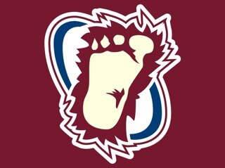 @Avalanche. @Broncos. @DenverNuggets. @Rockies.