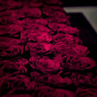 ” كل يوم هو بداية جديدة ، خذ نفساً عميقاً وابدأ من جديد”🕊5-5-16 W❤️S