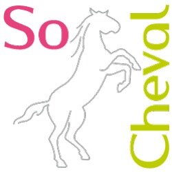 So Cheval c'est LA #Sellerie 2.0.                        Vente en ligne de #matériel d'#équitation - Retrouvez les trucs et astuces de #cavalier!