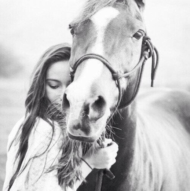 Follow ons nu, voor de beste paarden time-line van heel twitter! Wij tweeten en retweeten! P.S. Veel fototweets!