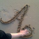 عادل العنزي (@0551043672) Twitter