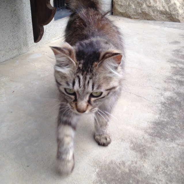 mayuta326's profile picture. 