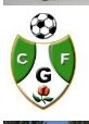 EQUIPO FEMENINO DE FÚTBOL SALA GRANADA. Segunda Andaluza fútbol sala (Provincial ) 1 2 3 GABIA!!!