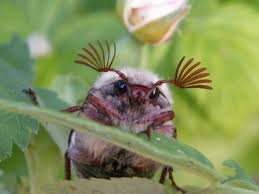 aj3102's profile picture. 