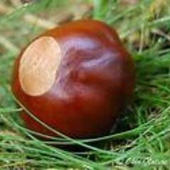 stwyford1's profile picture. OH.......IO