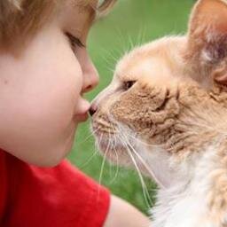 wavesea2's profile picture. نا عيني ماتبي حارس لبوه ومربيها فارس