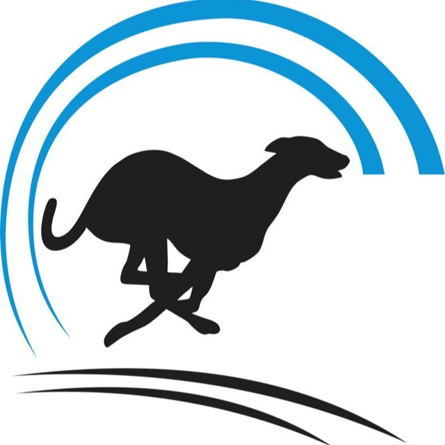 Pawsitive Syndication allows people to join the greyhound industry by being apart of syndicates and owning greyhounds!