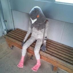 こんにちは。今季（こんき）です。決して今が旬な訳ではありませんが・・・ｗ趣味は写真を見てお分かりの通り、バードウォッチングでございます。フォローお願いします。