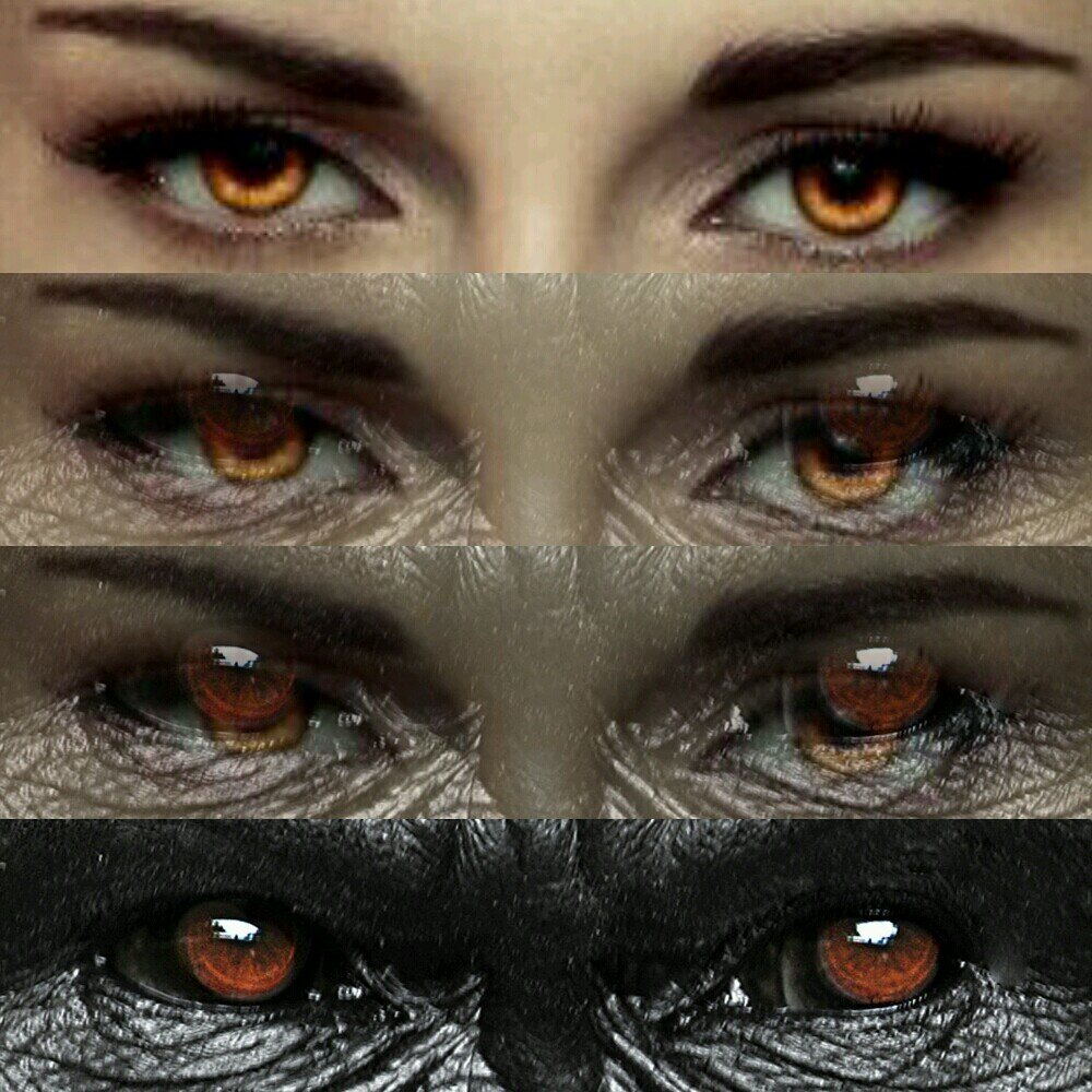 FyezahSiti's profile picture. Hi there! Oh My G'  How I wish I could meet you :(