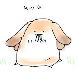 ギザ歯用アカウント