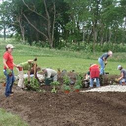 Katie Interseeding Cover Crops-UNL